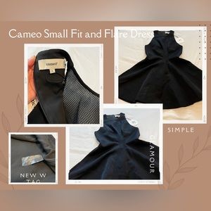 Sexy Luxurious Fit and Flare Mesh Front Dress Small